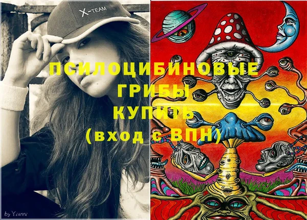 гидропоника Пролетарск