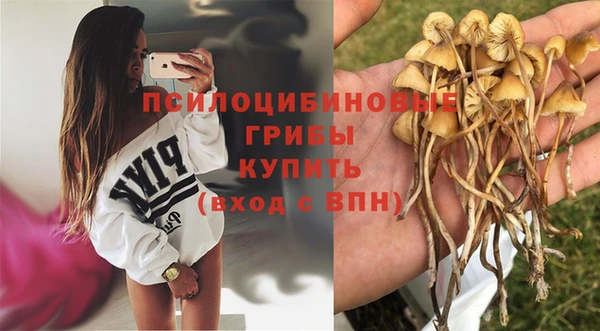 гидропоника Пролетарск