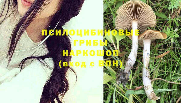 гидропоника Пролетарск