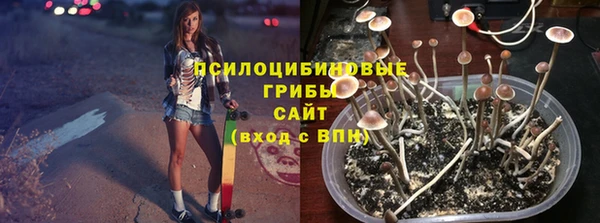 гидропоника Пролетарск