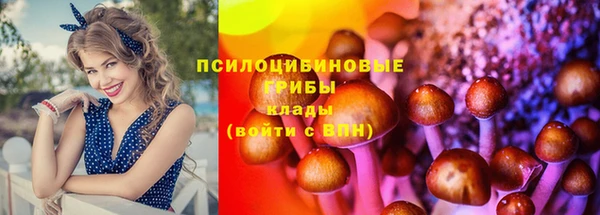 гидропоника Пролетарск